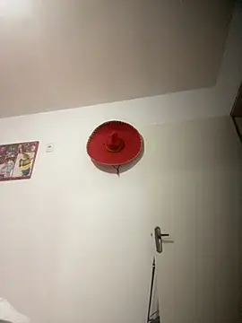 Snapshot of Alerquinasc chatting on 10-28-25, 04:46 Alerquinasc online show from 10-28-25, 04:46