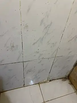 Xharmakesyoufeelorgasms online show from 08-05-26, 08:25