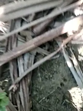 Real Sucker online show from 11-28-25, 04:56