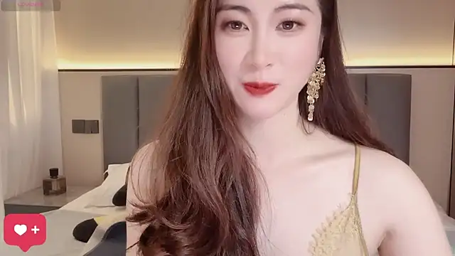 wuyueaini online show from 11-12-25, 05:00