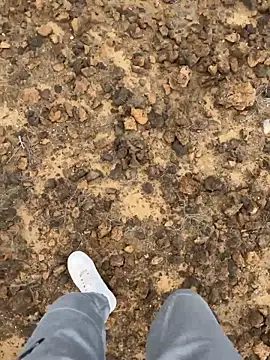 Manu97k online show from 03-12-26, 03:16