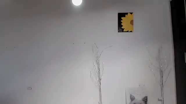Stein  online show from 09-15-25, 01:55
