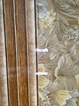 Julia-Elsa online show from 11-02-25, 03:55