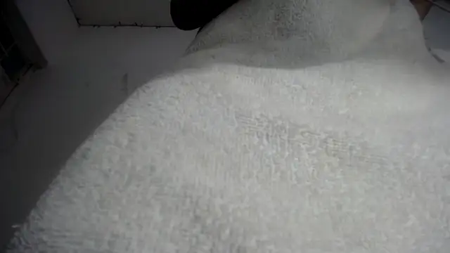 Snapshot of Foxy_Lovex chatting on 02-07-26, 10:18 Foxy Lovex online show from 02-07-26, 10:18