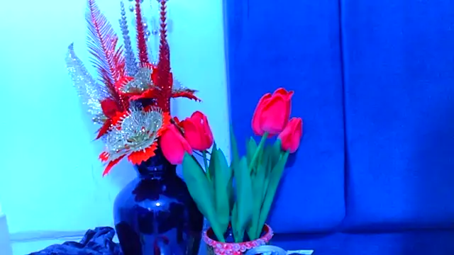 AmbarSmit online show from 04-16-26, 11:07