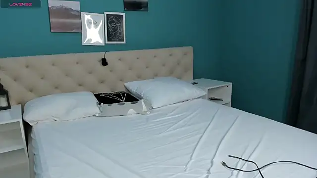 Ameli Shell online show from 10-02-25, 12:14