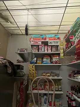 Sallem Pink online show from 03-30-26, 11:11