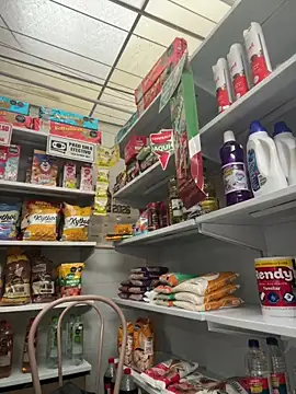 Sallem Pink online show from 02-21-26, 11:23