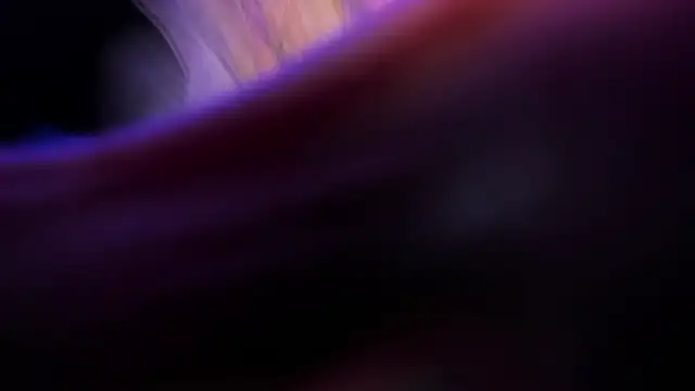 Widny Beaumont online show from 11-22-25, 03:38