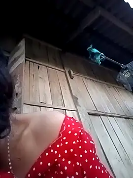 optra34 online show from 11-15-25, 11:09