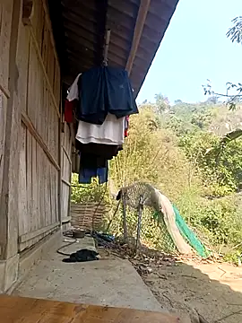 optra34 online show from 03-01-26, 06:35