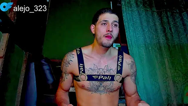 alejo  323   online show from 05-04-26, 03:10