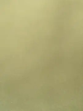 Lale-Adrian online show from 01-13-26, 05:06