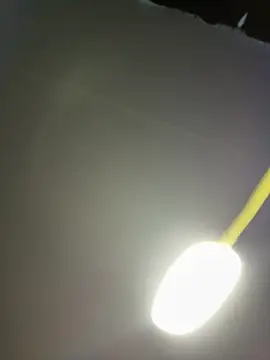 Sisuuu18 online show from 03-19-26, 05:46