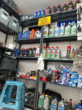 Terra-22cm online show from 10-01-25, 05:28