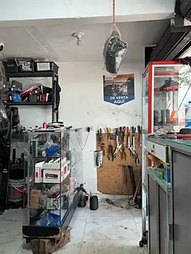 Terra-22cm online show from 11-04-25, 03:27