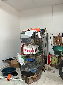 Terra-22cm online show from 02-13-26, 01:22