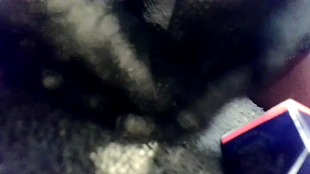 Evieskyyxh online show from 11-26-25, 10:48