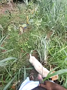 Negodabenga online show from 02-13-26, 01:11