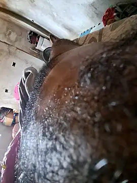 Snapshot of Negodabenga chatting on 10-18-25, 12:40 Negodabenga online show from 10-18-25, 12:40