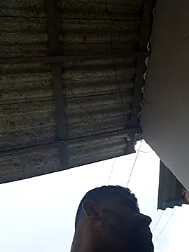 Negodabenga online show from 02-20-26, 04:42