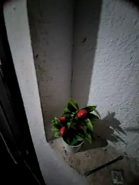 MIXJARABA online show from 02-08-26, 08:01