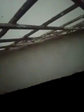 Daisygirl9 online show from 10-22-25, 09:35