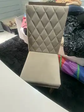 AnimistEquity online show from 11-12-25, 03:38