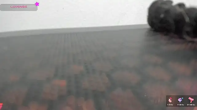 FluffyMelons online show from 04-01-26, 11:01