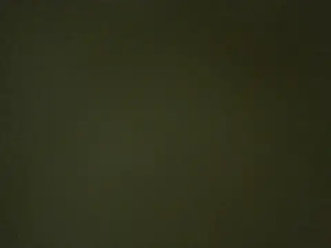 Snapshot of Quarentaoon chatting on 10-03-25, 10:11 Quarentaoon online show from 10-03-25, 10:11