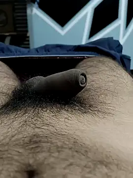 Snapshot of Bull54321 chatting on 09-11-25, 05:18 Bull54321 online show from 09-11-25, 05:18