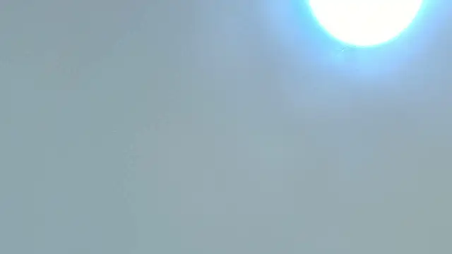 Dixie grey1 online show from 10-15-25, 02:47