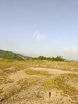 asian 2k online show from 11-26-25, 01:16