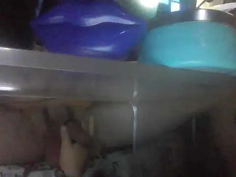 PenerPanShibari online show from 07-05-26, 09:54