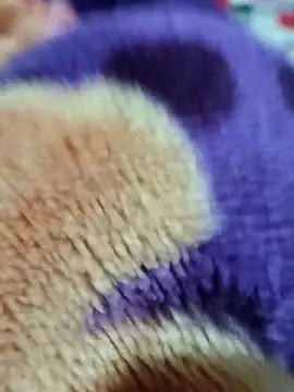 sana-5 online show from 03-15-26, 03:19