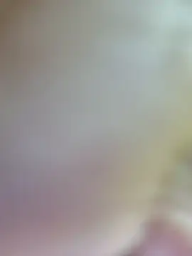 heera-rani online show from 05-16-26, 06:56