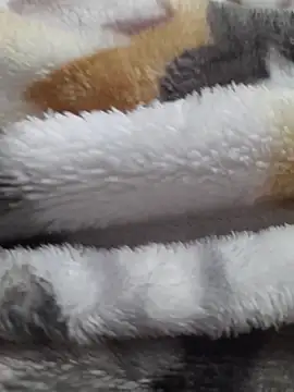 ratoncito 3 online show from 02-23-26, 05:24