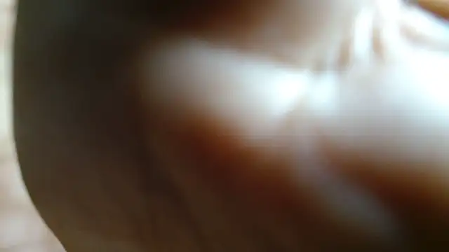 JUSTFORRICH online show from 06-27-26, 11:00