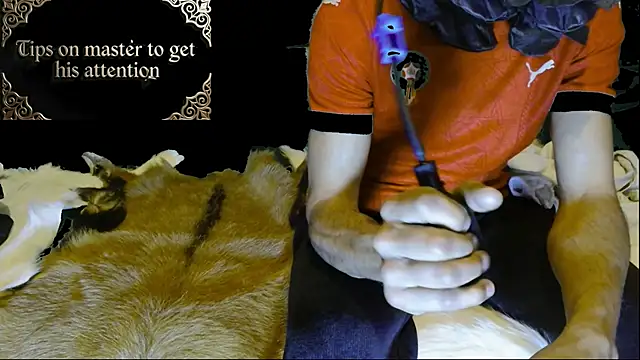 JUSTFORRICH online show from 01-15-26, 03:10