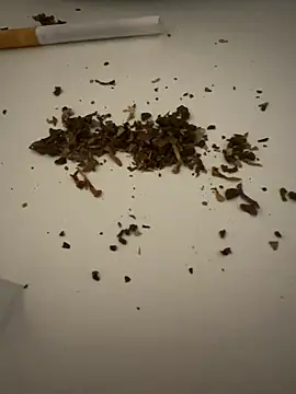 evawx9 online show from 03-19-26, 06:08