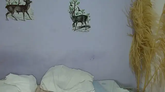 chica sexy05 online show from 02-04-26, 08:15