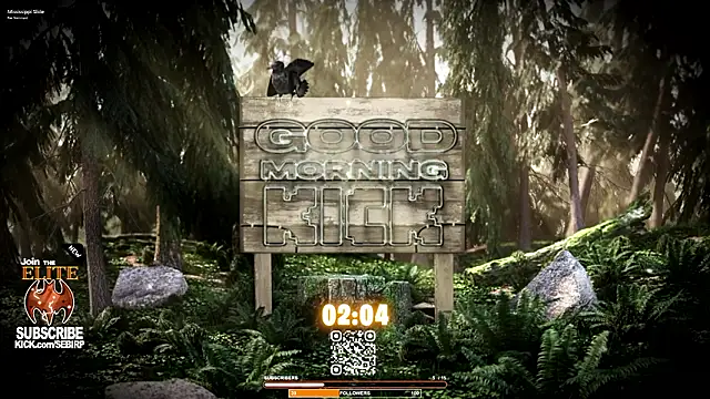 sebirp online show from 02-03-26, 11:43