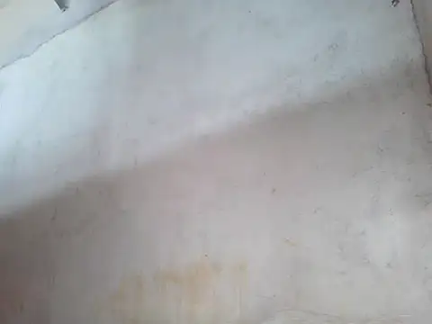 star ass online show from 10-19-25, 11:51