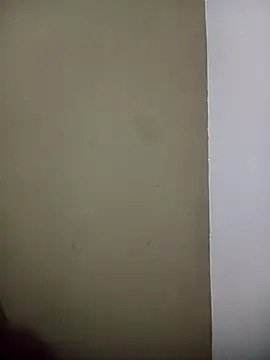 Snapshot of Felipiiiiiii chatting on 02-08-26, 04:10 Felipiiiiiii online show from 02-08-26, 04:10