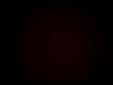 SparklesB1tch online show from 10-15-25, 06:49