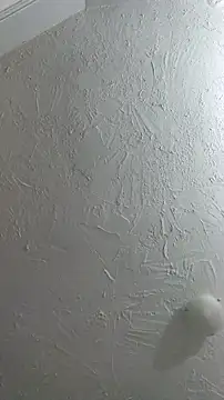 Bulbasaurisme online show from 09-26-25, 01:23