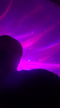 Bulbasaurisme online show from 11-23-25, 07:40