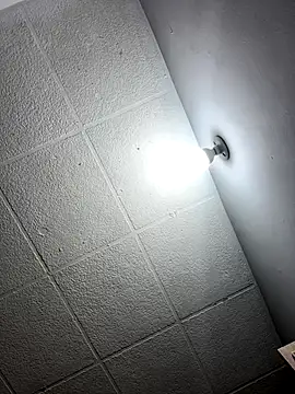 LICEET online show from 11-20-25, 11:47