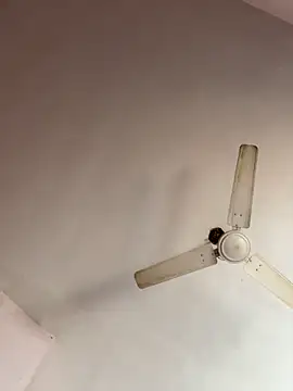 amitsharma7868 online show from 11-15-25, 05:33