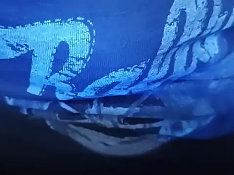 wisman1298 online show from 03-07-26, 10:37